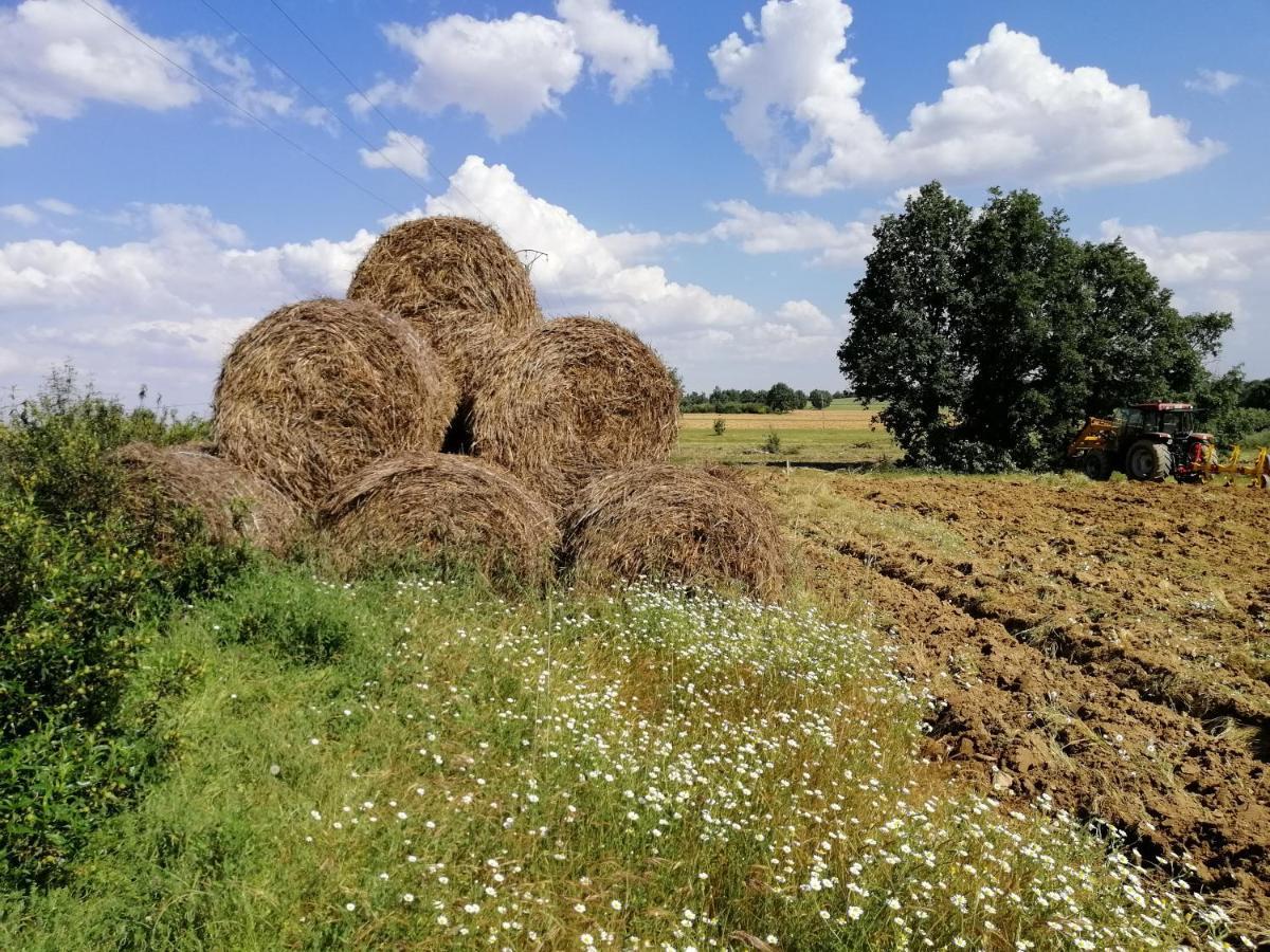 Hotel Rural Lajafriz فورنييّوس ذي ألِستي المظهر الخارجي الصورة